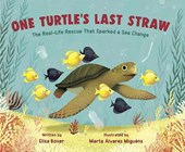 1 TURTLES LAST STRAW