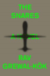 The Snares