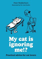 My cat is ignoring me!?