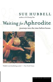 Waiting for Aphrodite