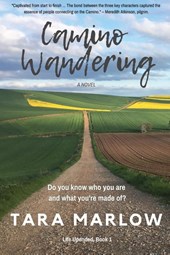 Camino Wandering