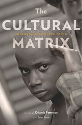 The Cultural Matrix