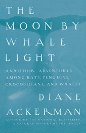 Moon By Whale Light