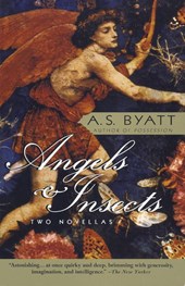 Angels & Insects