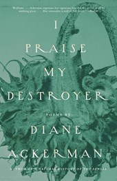 I Praise My Destroyer