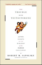 The Trouble With Testosterone