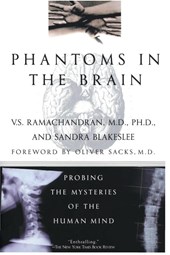 Phantoms in the Brain