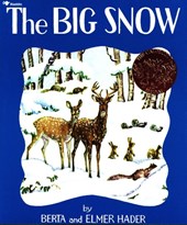 BIG SNOW 2/E