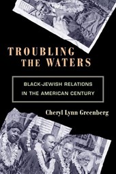 Troubling the Waters