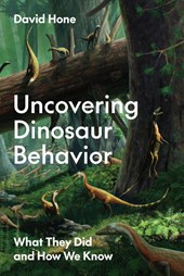 Uncovering Dinosaur Behavior