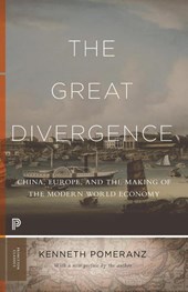 The Great Divergence