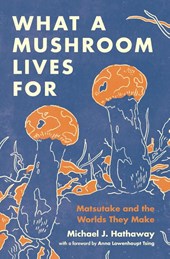 What a Mushroom Lives For