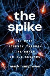 The Spike