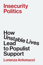 Insecurity Politics