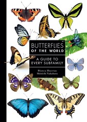 Butterflies of the World