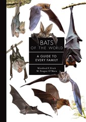 Bats of the World