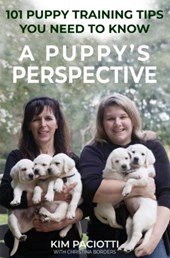 A Puppy's Perspective