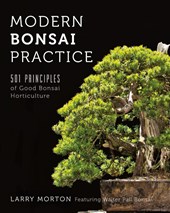 Modern Bonsai Practice