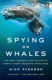 Spying on Whales