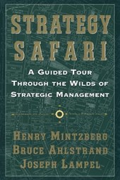 Strategy Safari