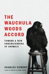 WAUCHULA WOODS ACCORD