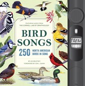 Bird Songs