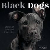 Black Dogs