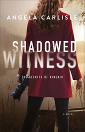 Shadowed Witness