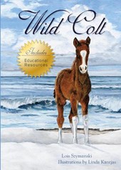 Wild Colt