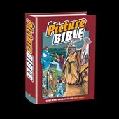 The Picture Bible