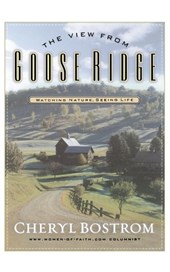 The View from Goose Ridge
