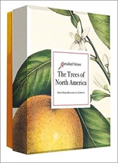 The Trees of North America - Detailed Notecard Set