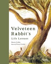 Velveteen Rabbit's Life Lessons