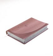 SPA-SANTA BIBLIA DE PROMESAS R