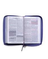Santa Biblia de Promesas Reina-Valera 1960 / Tamaño Manual /