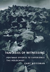 Fantasies of Witnessing