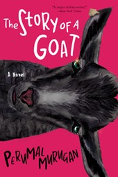 STORY OF A GOAT