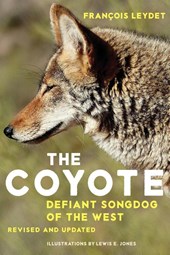The Coyote