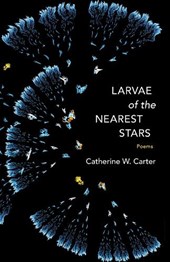 Larvae of the Nearest Stars