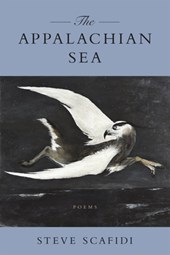 Appalachian Sea: Poems