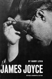 James Joyce a Critical Introduction