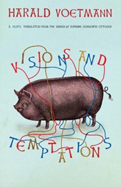 Visions and Temptations