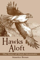 Hawks Aloft