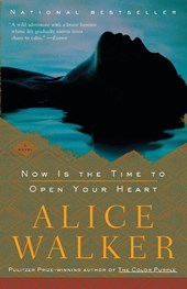 Now Is the Time to Open Your Heart