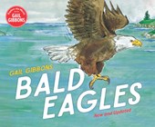 Bald Eagles