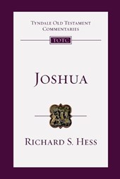 Joshua: An Introduction and Commentary Volume 6