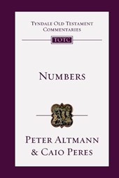 Numbers: An Introduction and Commentary Volume 4