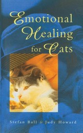 Emotional Healing For Cats