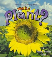 What Is A Plant?