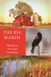 The Big Marsh: The Story of a Lost Landscape